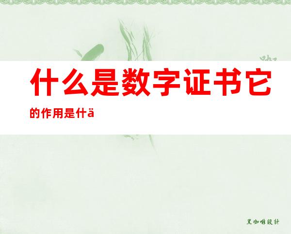 什么是数字证书?它的作用是什么(什么是数字证书,它的作用有哪些?)