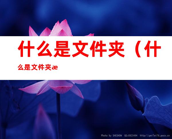 什么是文件夹(什么是文件夹?怎样建立新文件夹?)