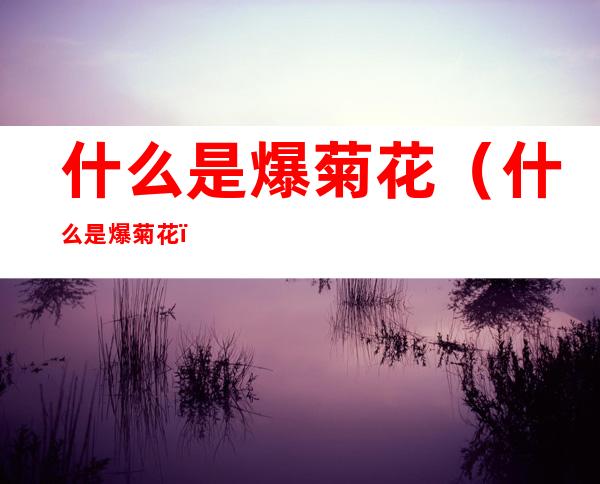 什么是爆菊花（什么是爆菊花）