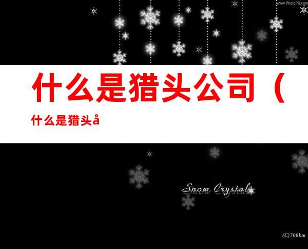 什么是猎头公司(什么是猎头公司好)
