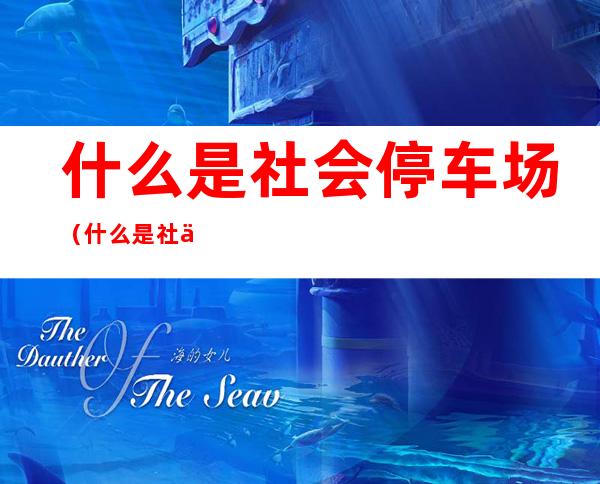 什么是社会停车场(什么是社会停车场用地)