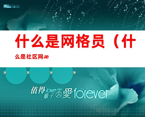 什么是网格员(什么是社区网格员)