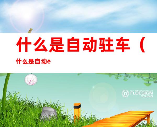 什么是自动驻车（什么是自动驻车开关）
