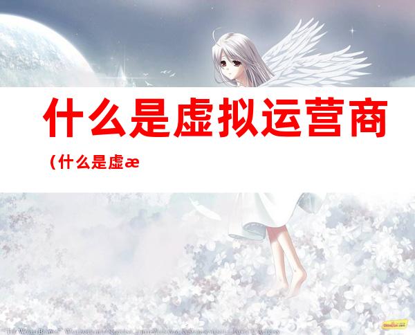 什么是虚拟运营商(什么是虚拟运营商的卡)