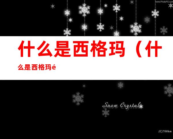 什么是西格玛(什么是西格玛键和π键)