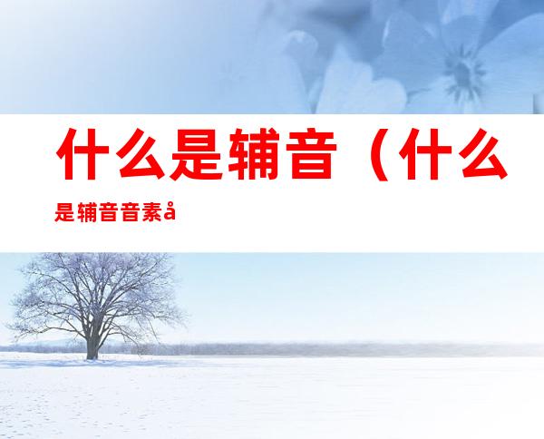 什么是辅音(什么是辅音音素和元音音素)