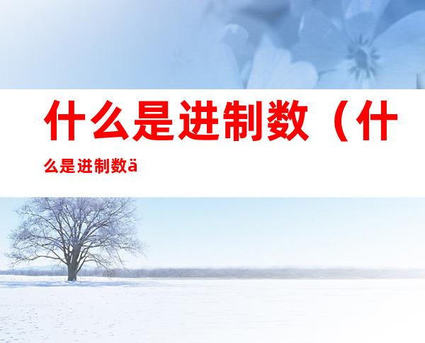 什么是进制数..（什么是进制数中能够使用的最小数字符号）