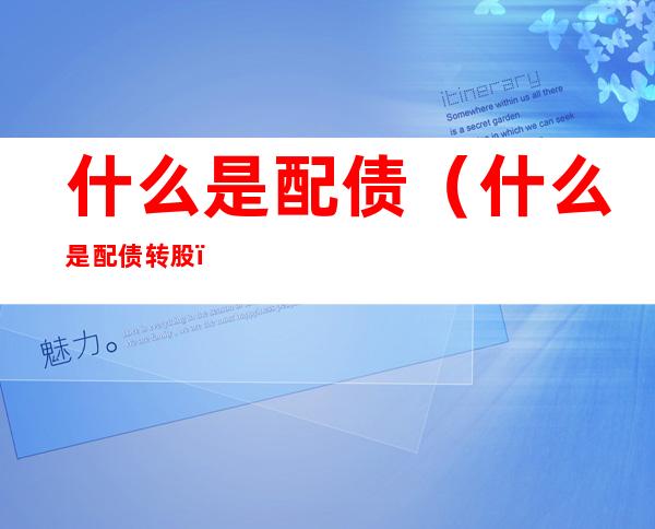什么是配债(什么是配债转股)