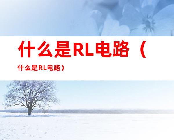什么是RL电路(什么是RL电路)