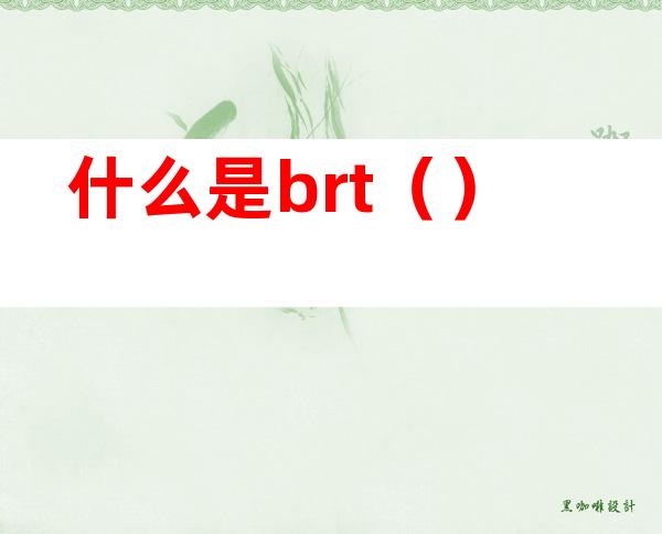 什么是brt()