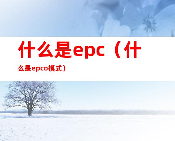 什么是epc(什么是epc+o模式)