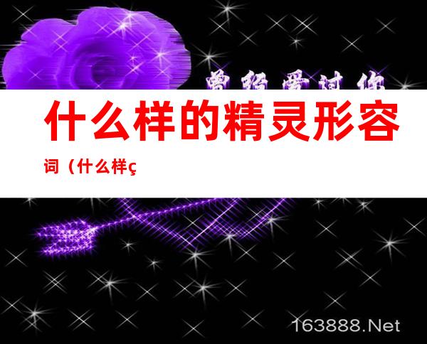 什么样的精灵形容词（什么样的小精灵形容词）