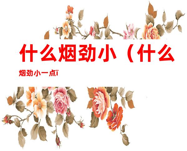 什么烟劲小(什么烟劲小一点)