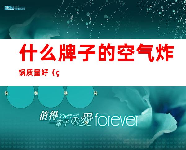 什么牌子的空气炸锅质量好（空气炸锅哪家的质量好）