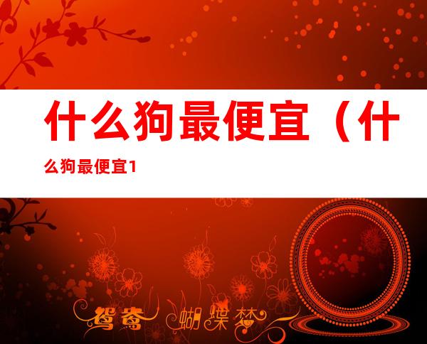什么狗最便宜（什么狗最便宜100以下）