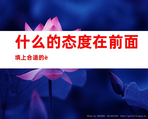 什么的态度在前面填上合适的词语(用什么的态度 填词)