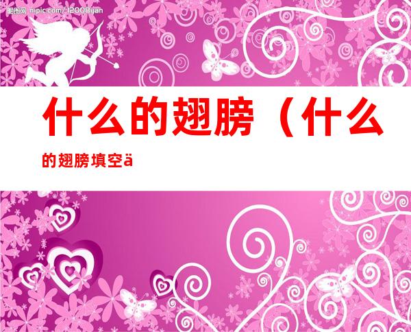 什么的翅膀（什么的翅膀填空三年级）