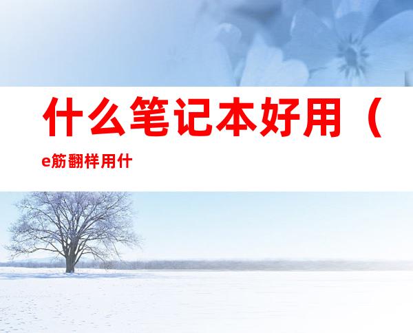 什么笔记本好用（e筋翻样用什么笔记本好用）