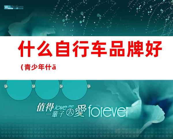 什么自行车品牌好(青少年什么自行车品牌好)