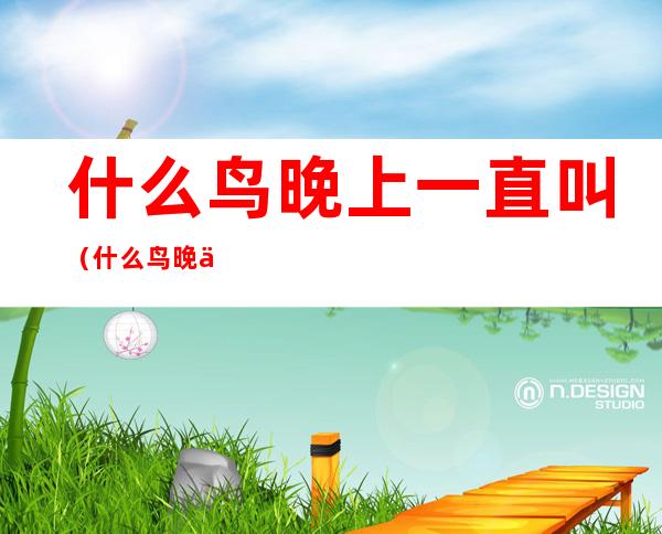 什么鸟晚上一直叫(什么鸟晚上一直叫五声)