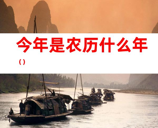 今年是农历什么年()