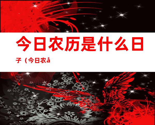 今日农历是什么日子(今日农历是什么日子淮北市检查院院长)