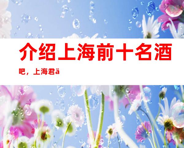 介绍上海前十名酒吧，上海君临宝殿酒吧一定满足您