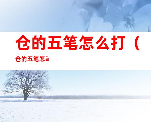 仓的五笔怎么打（仓的五笔怎么打字五笔画）
