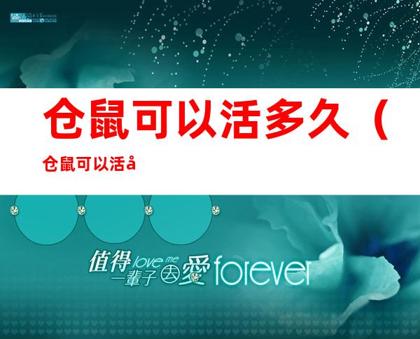 仓鼠可以活多久(仓鼠可以活多久?)