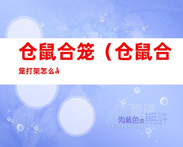 仓鼠合笼(仓鼠合笼打架怎么办)