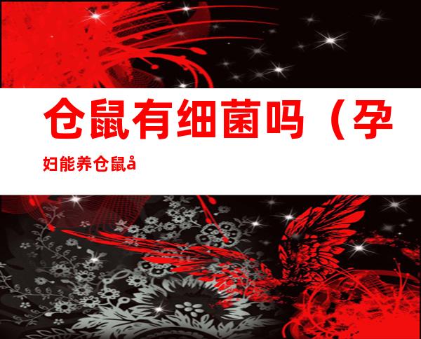 仓鼠有细菌吗(孕妇能养仓鼠吗,仓鼠有细菌吗)