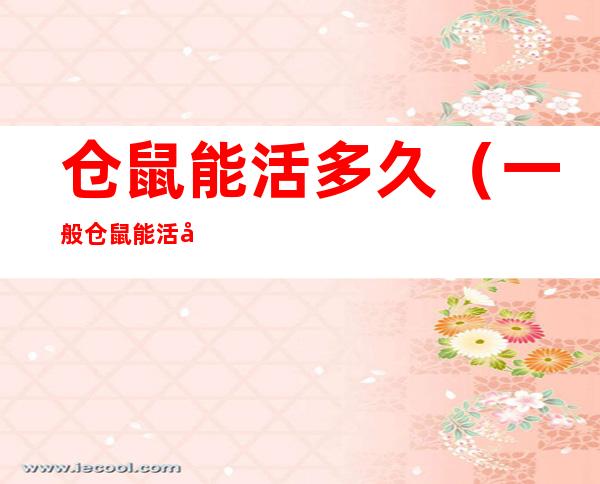仓鼠能活多久(一般仓鼠能活多久)