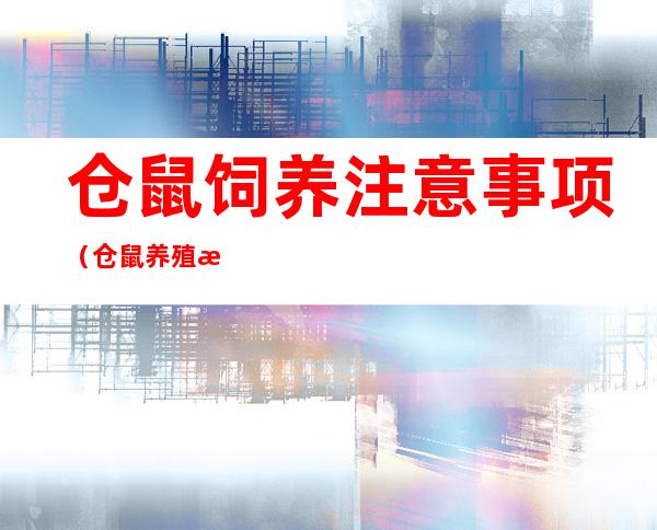 仓鼠饲养注意事项(仓鼠养殖注意事项)