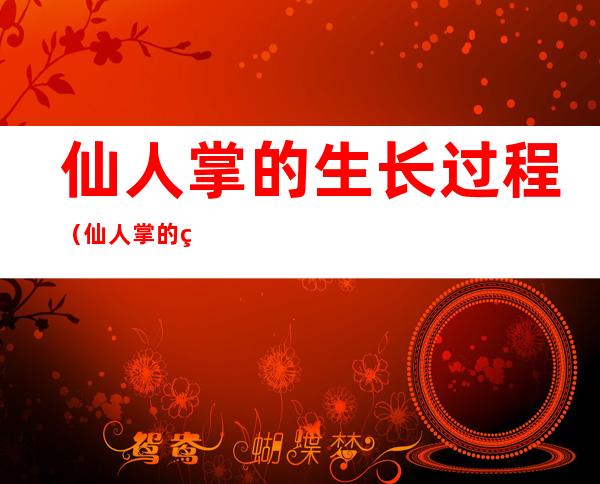 仙人掌的生长过程（仙人掌的生长过程及样子）