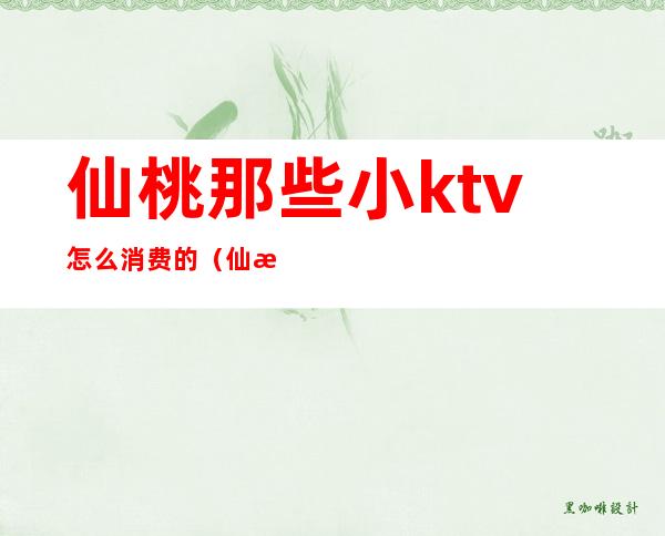 仙桃那些小ktv怎么消费的（仙桃最好的ktv在哪里）
