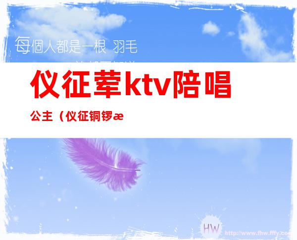 仪征荤ktv陪唱公主(仪征铜锣湾有陪酒)