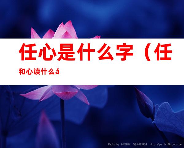 任心是什么字(任和心读什么字)