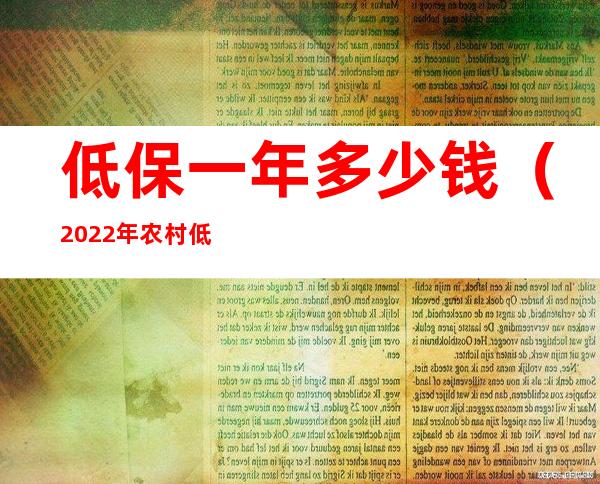 低保一年多少钱(2022年农村低保一年多少钱)