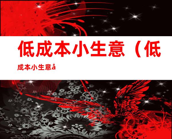 低成本小生意(低成本小生意创业)