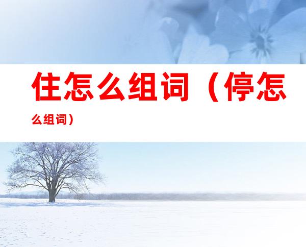 住怎么组词（停怎么组词）