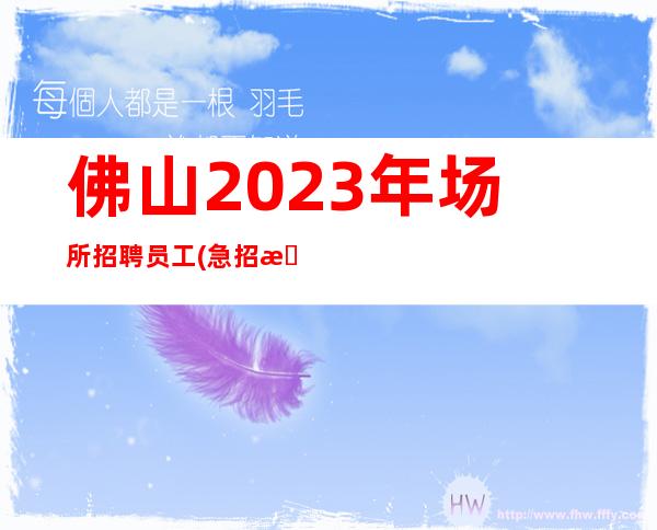 佛山2023年场所招聘员工(急招晚班服务员)