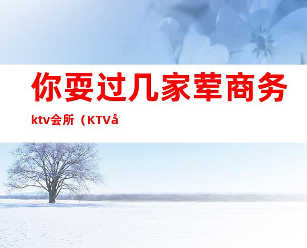 你耍过几家荤商务ktv会所(KTV商务会所)