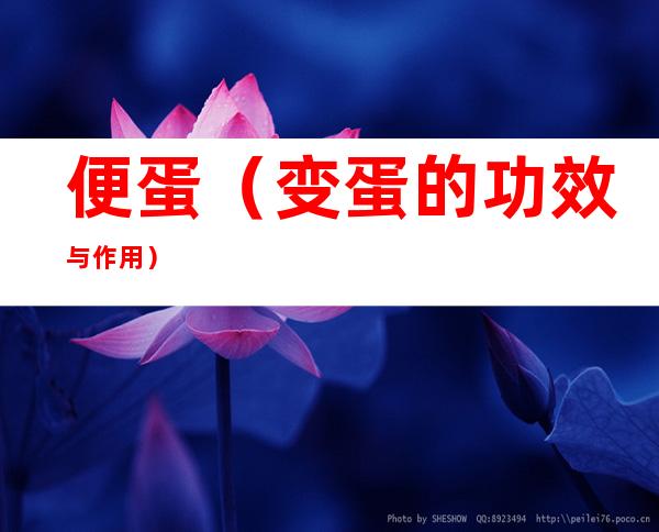 便蛋(变蛋的功效与作用)