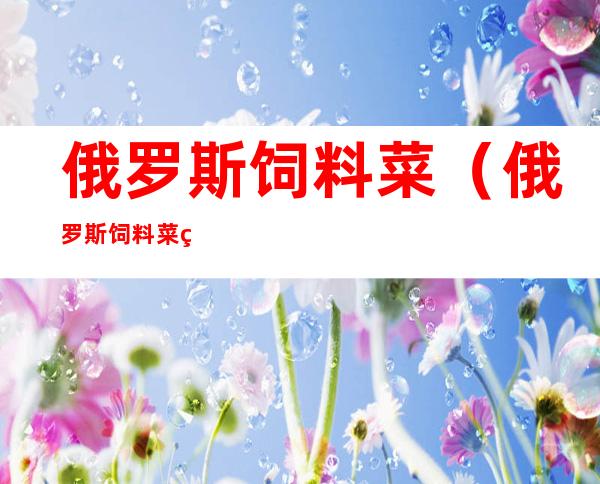 俄罗斯饲料菜(俄罗斯饲料菜真实产量)