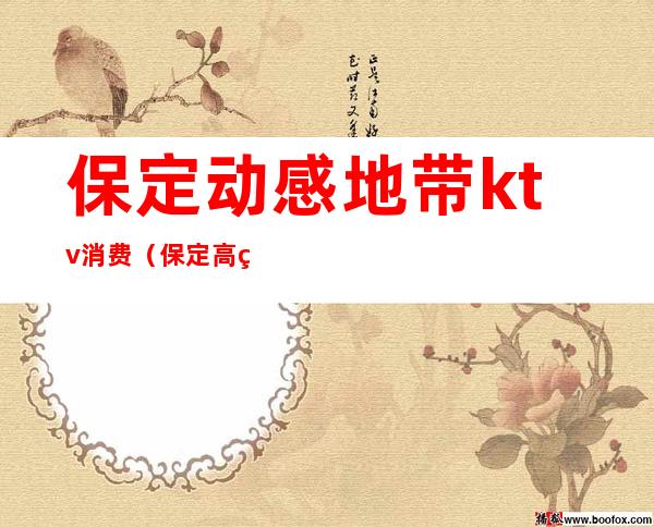 保定动感地带ktv消费（保定高端KTV）