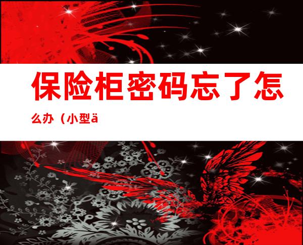 保险柜密码忘了怎么办（小型保险柜密码忘了怎么办）