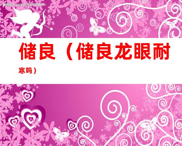 储良（储良龙眼耐寒吗）