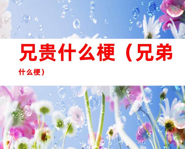 兄贵什么梗(兄弟什么梗)