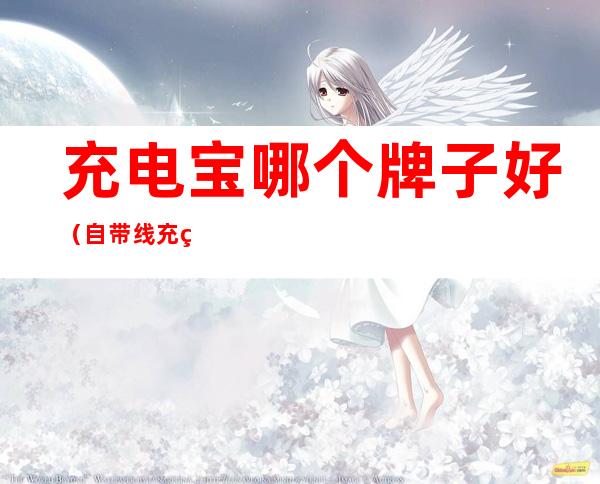 充电宝哪个牌子好（自带线充电宝哪个牌子好）