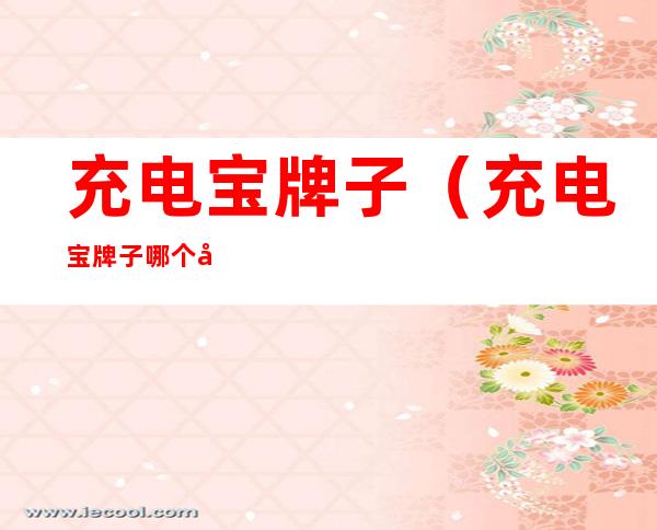 充电宝牌子(充电宝牌子哪个好)